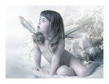 winter fairy ; comments:209