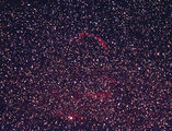 “Дантелите” в Лебед (Laces - мъглявините NGC 6960, 6979, 6992 - 5) ; comments:18