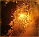 Sunset through the frozen window ; Коментари:51