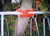 Lipstick and Hungry Tree ; comments:22