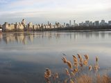 Ezero v Central Park ; comments:15