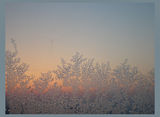 Frozen sunrise ; comments:18