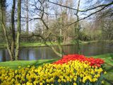 De keukenhof ; comments:7