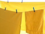 Жълто пране - сини щипки ; comments:28