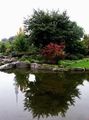 Паркът в Хамбург - японските градини! ; Коментари:6