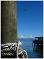 Bodensee ; comments:23