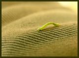 Планетата Дюн (Аракис) и един пясъчен червей ; comments:20