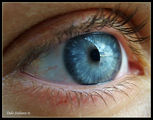 Красотата на човешкото око ; comments:14