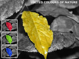 United Colours of Nature ; comments:41