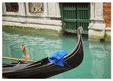 Венеция през зимата ; comments:6