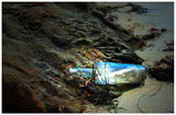 Message in a Bottle ; comments:58