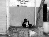 Left Alone in the Arab World ; Коментари:11