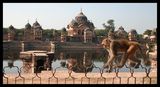 mathura ; comments:6