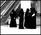Ladies in Black ; comments:14
