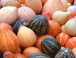 pumpkins ; comments:13
