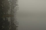 Мъгла ; comments:47