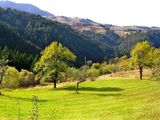 Едно селце в Родопите ; comments:26