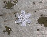 Snowflake ; comments:12