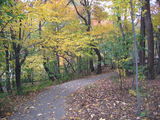 Есен в парка ; Comments:1