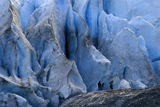 Exit glacier ; comments:66