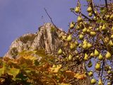Гледка към върховете на Враца, през есента ; comments:9