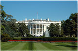 White house ; comments:7