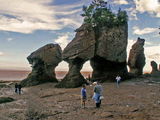 The Hopewell Rocks ; comments:49