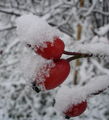 първи сняг ; comments:5