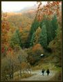 Есен в планината ; comments:32
