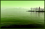 Lausanne in green ; comments:34