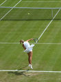 "The Best" of Sharapova ; comments:17
