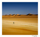 Deep in Sahara XIV ; Коментари:156