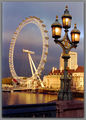 London Eye ; Comments:20