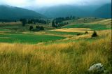 Есенна поляна в Родопите ; comments:57