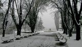 Снежен парк ; comments:35