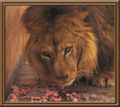 Lion King ; comments:8