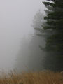 Мъгла ; Comments:12