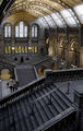 Natural History Museum - London ; comments:15