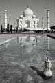 The Taj ; comments:31