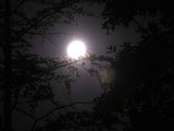 The Midnight Moon ; Comments:7