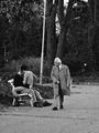 Старец и двойка на пейка в парка ; Коментари:9