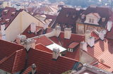 Покриви 3 - Прага ; Коментари:8