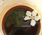 Пролет в чашата ми със кафе ; comments:61