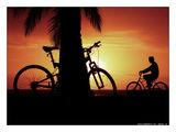 Sunset biking ; comments:37