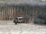 old house in the middle of nowhere ; comments:12