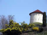 la torre nel giallo ; Comments:2