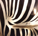 zebra i oshte neshto.... ; comments:8