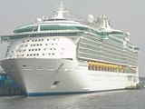 Freedom of the seas ; comments:19