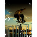 sk8 or die trying ; comments:26