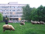 Bulgarian Academy of Sciences ; comments:16